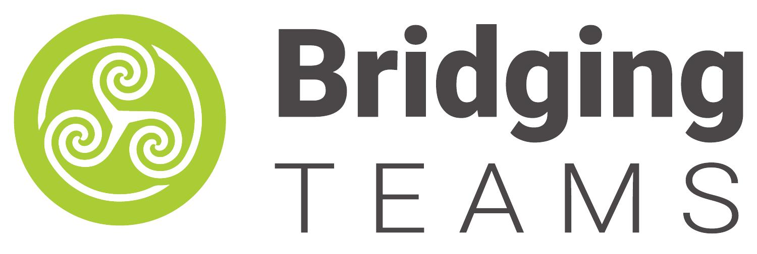 Bridging-Teams-CMYK Bridging-Teams-CMYK